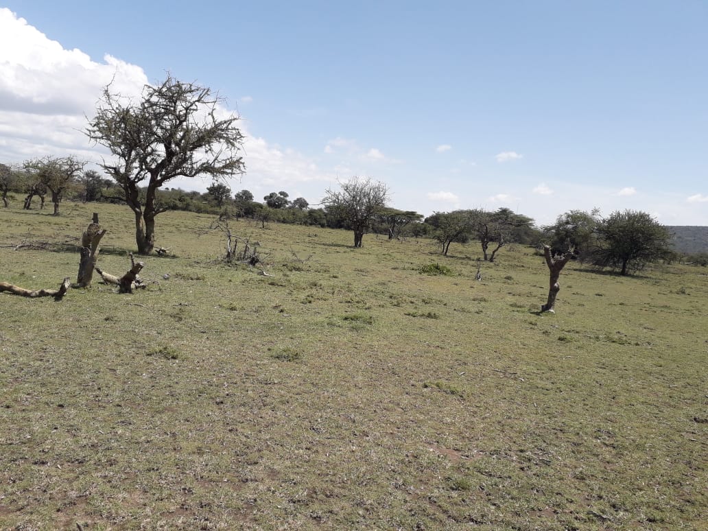 Additional property image